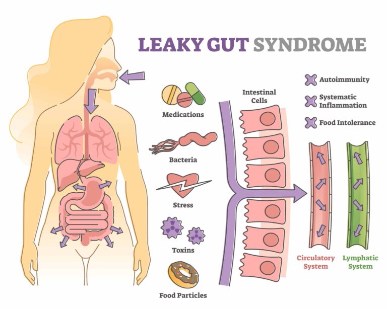 Is There a Link Between Gut Health & Immunity?